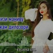 Суруди Дилозори