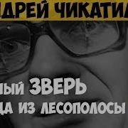 Чикатило Товарищ Убийца