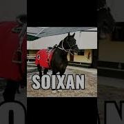 Otga Sktrganlar