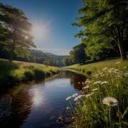 Habibi Come To Moldova