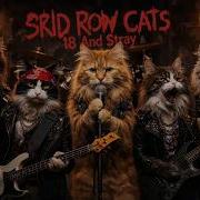 Skid Row Cats 18And Stray
