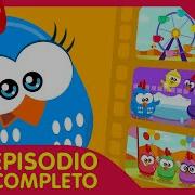 Gallina Pintadita Mini 6