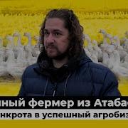 Призыв Гуся На Посадку