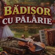Badișor Cu Pălărie
