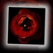 Армянскиепесни 90Х