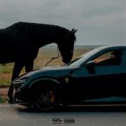 Jakone Macan Purosangue