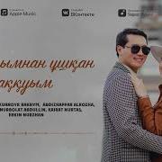 Алақанымнан Ұшқан Аққуым