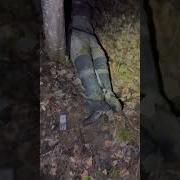 В Тайге Я Одинок