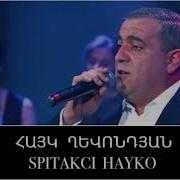 Ануш Дзайнт