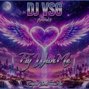 Dj Vsg Fly With