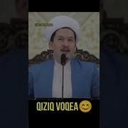Хасан Хусан Корилар Вокеа