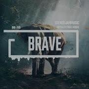 Brave Stereojammusic