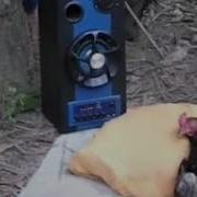 Тур Соат 10 Булди