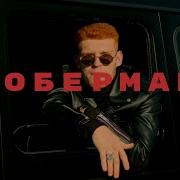 Stopor Доберман Скачать