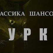 Шуфутинский Мурка
