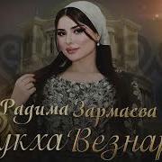 Радима Зармаева 2024