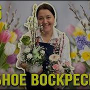 Цветы За Деньги