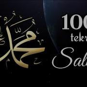 Salavat 1000 Defa
