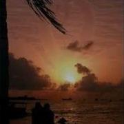 Утки Шуфутинский