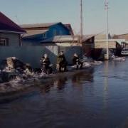 Мужики Сидят Рыбачат