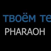 На Твоем Теле Фараон Минус