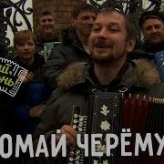 Играй Гармонь Лучшие Песни