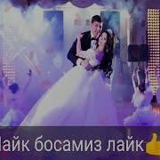 Той Боб Музикалар Шух
