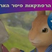 פטר ארנב
