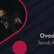 Ovodon