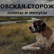 Московская Сторожевая