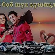 Туй Боб Хит Кушиклар