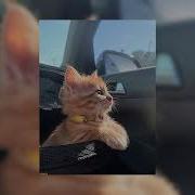 Музыка Для Дальней Поездки