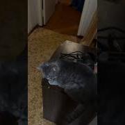 Men Nima Qildim Bunga Xozir