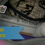 Ералаш Лучший Подарок