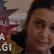 Ata Ocagi