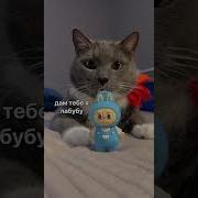 Кетсаль Lonely