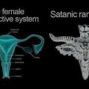 Пятибрат Глубинная Книга