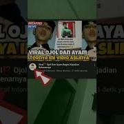 Ojol Sama Ayam Viral