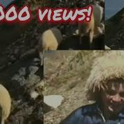 Борхатаб Маг1Арде