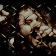 Shadows Fall Still Crave You