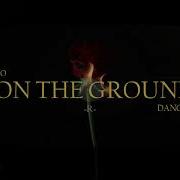 Rose Intro On The Ground