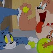 Шоу Тома И Джерри