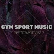 Dramatic Sport Action Adventure Trailer