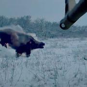 Охота Зимой Нарезка