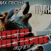 Сборник Пули Дни