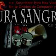 Gimme Gimme Gimme Pura Sangre