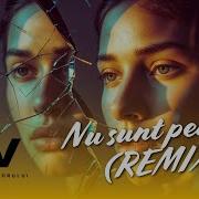 Nu Sunt Perfect Remix