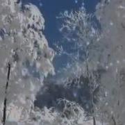 Нелюбимая Светлана Беккер