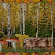 Мы В Лесок Пойдем