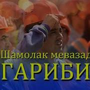 Мусофири Гариби